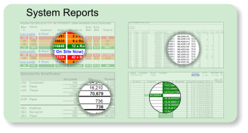 System Reports